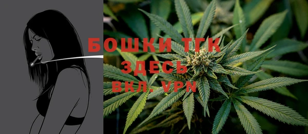 PSILOCYBIN Осташков