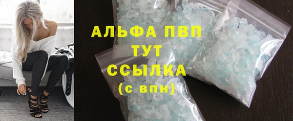 PSILOCYBIN Осташков