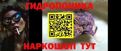 сатива Балахна
