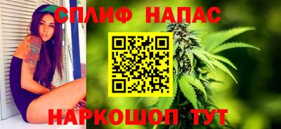 сатива Балахна