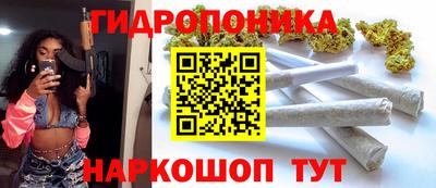сатива Балахна