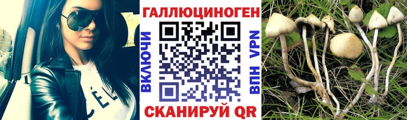 Псилоцибиновые грибы Magic Shrooms  Богородск 