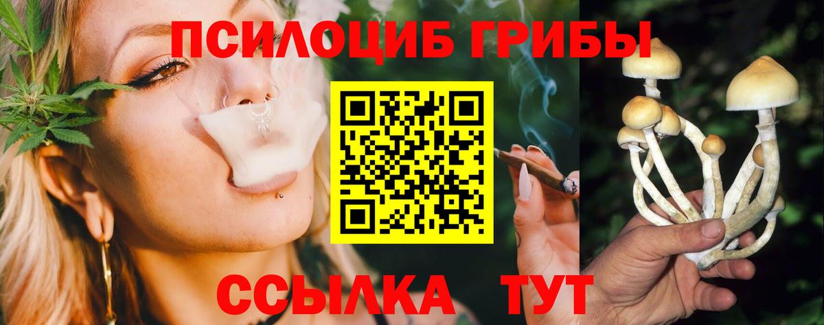 Псилоцибиновые грибы ЛСД Богородск